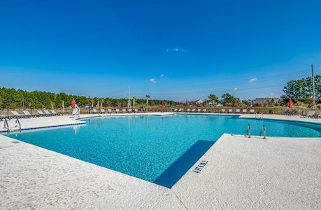 Bella Vita by Beazer Homes in Myrtle Beach - photo 1 1