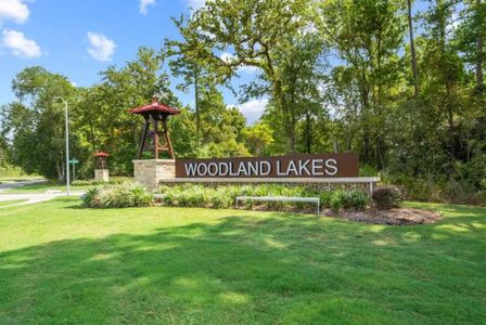 Woodland Lakes by Cyrene Homes in Huffman - photo 0