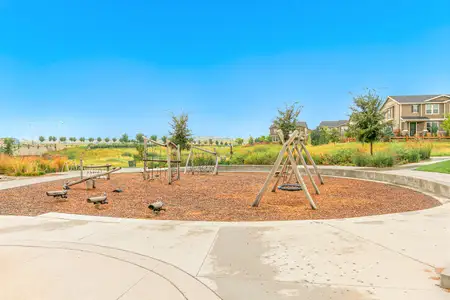 Baseline Parkside West – Single-Family Homes by David Weekley Homes in Broomfield - image 9