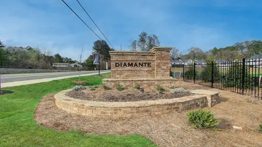 Diamante by DRB Homes in Stockbridge - photo 28 28