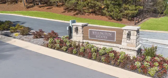 Wellington Estates by Lennar in Madison - image