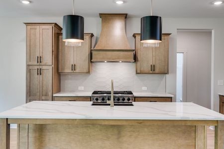 Harmon Springs by Trademark Quality Homes in Carrollton - image 17