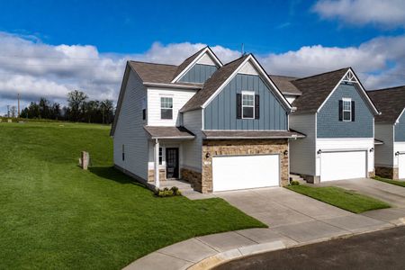 Spring Branch by Smith Douglas Homes in Smyrna - image