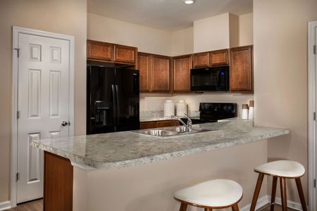 Orchard Park Townhomes by KB Home in St. Augustine - photo 9 9