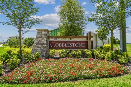 Cobblestone by M/I Homes in Zephyrhills - photo 15 15