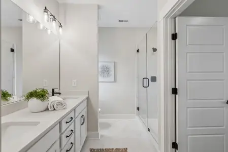 Discover Series - Select by David Weekley Homes in Mount Pleasant - image 3