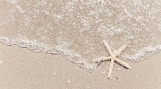 Orchid Cove by Maronda Homes in Bokeelia - image 10