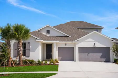 Firelight by Dream Finders Homes in Punta Gorda - image