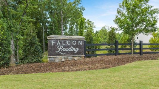 Falcon Landing Townhomes by D.R. Horton in Gainesville - image