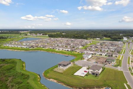 Cobblestone by M/I Homes in Zephyrhills - photo 46 46