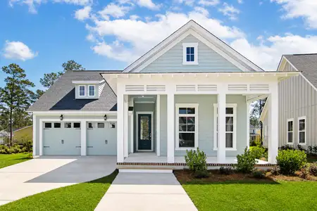 Point Hope – Park Collection by David Weekley Homes in Charleston - image 5