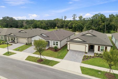 Berry Bay by M/I Homes in Wimauma - image 6