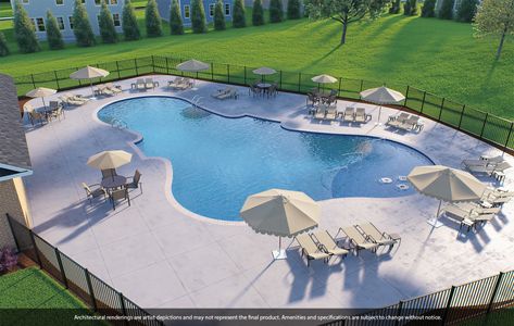 Pebble Branch by Mungo Homes in Chapin - image 12