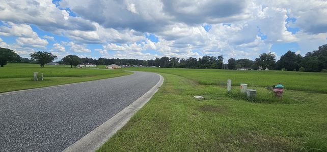 Irish Acres by Triple Crown Homes in Ocala - photo 4 4