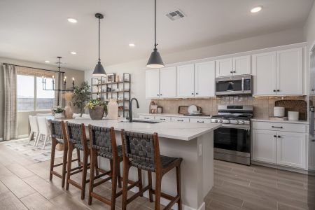 El Cidro by Landsea Homes in Goodyear - photo 52 52