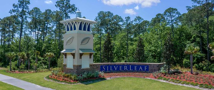 SilverLeaf by David Weekley Homes in Saint Augustine - photo 0