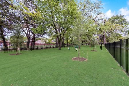 Lake Shore Village by Grand Homes in Rowlett - photo 19 19