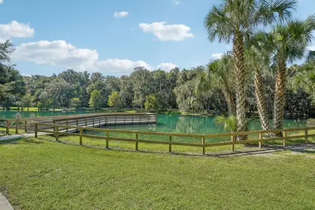 Spring Walk at the Junction by Stanley Martin Homes in Debary - photo 33 33