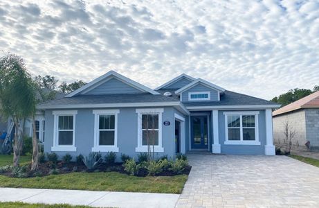 Coastal Gardens at Town Center by Paytas Homes in Palm Coast - image 15