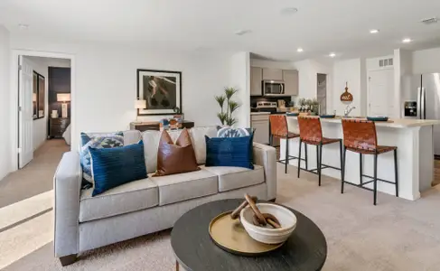 Ocala by Holiday Builders in Ocala - image 4