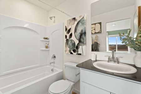 Timnath Ranch by Baessler Homes in Timnath - image 11