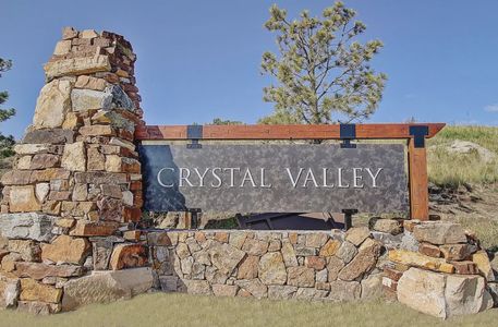 Crystal Valley Pine Ridge by D.R. Horton in Castle Rock - photo 10 10