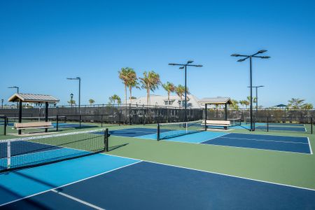 Waterset Townhomes by David Weekley Homes in Apollo Beach - image 9