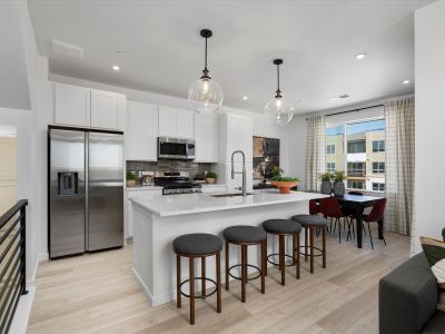 Lyric at RidgeGate Townhomes by Lokal Homes in Lone Tree - image 9