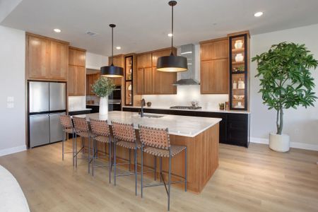 Parmer Ranch 60 by Drees Custom Homes in Georgetown - image 8