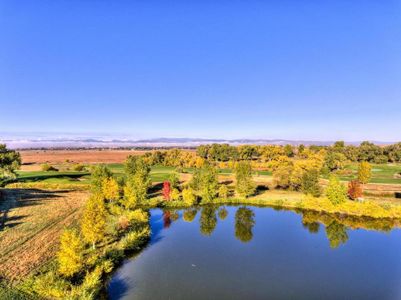 Harmony Townhomes by Landmark Homes in Timnath - photo 23 23