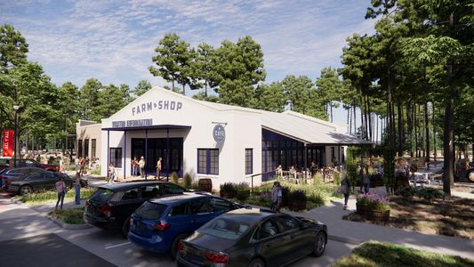 Two Step Farm 50' by Perry Homes in Montgomery - image 18