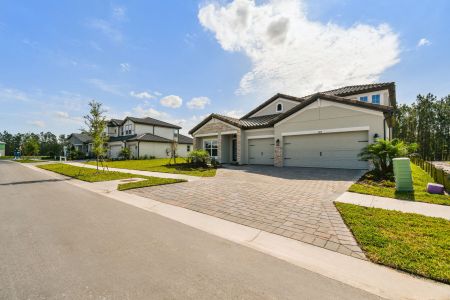Shortgrass at Two Rivers by M/I Homes in Zephyrhills - image 16