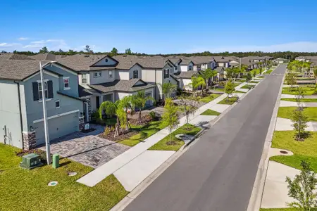 Hawthorne Ranch by M/I Homes in Lakeland - image 20