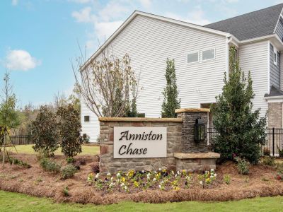 Anniston Chase by Meritage Homes in Fort Mill - image