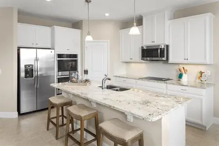 West Port Single Family Homes by Ryan Homes in Port Charlotte - image 4