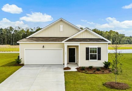 Spring Grove by Starlight Homes in Aynor - image 9