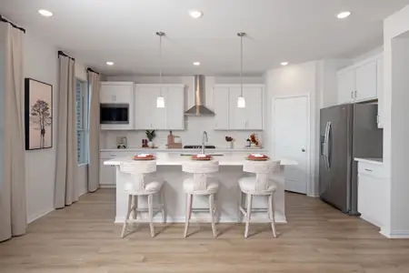 Spiritas Ranch by Mattamy Homes in Little Elm - image 7