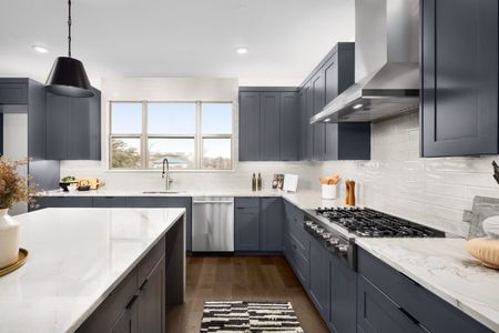 The Preserve on the Park by Cadence Homes in Addison - image 19