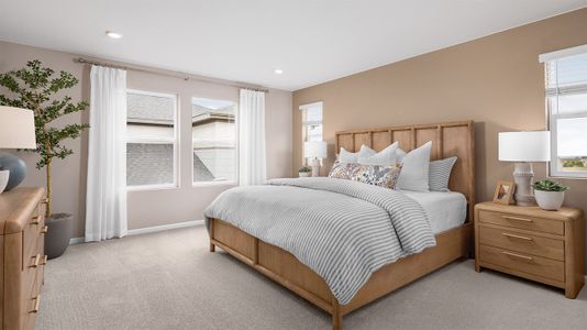 The Legacy Collection at Talon Pointe 26