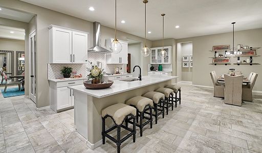 Madera West Estates by Richmond American Homes in Queen Creek - photo 16 16