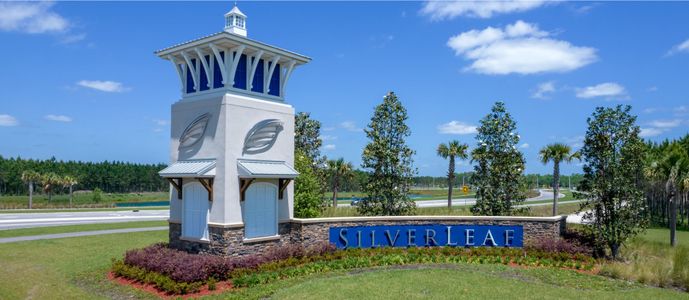 SilverLeaf: Silver Falls 50s at SilverLeaf by Lennar in St. Augustine - photo 1 1