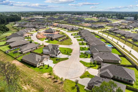 Moran Ranch by M/I Homes in Willis - photo 0