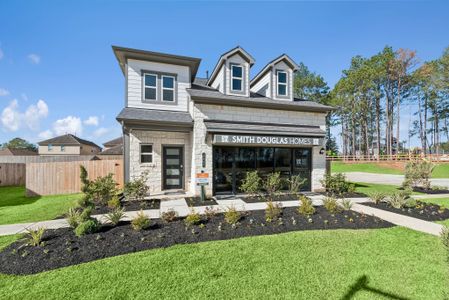 Enclave at Willis by Smith Douglas Homes in Willis - image