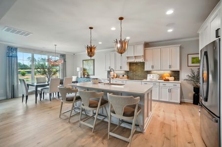 Brighton Park by Niblock Homes in Mount Pleasant - image 2