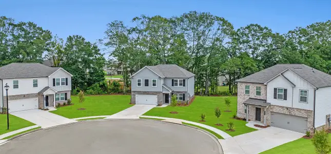 Apaloosa Park by Lennar in Auburn - image