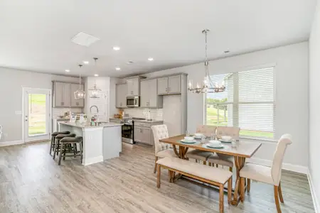 Harley Farms South by Peachtree Building Group in Bonaire - image 3