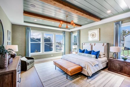 Serenity Executive by Drees Custom Homes in Fuquay Varina - image 8
