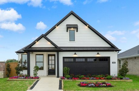 Arabella on the Prairie: Premier Collection by Beazer Homes in Richmond - photo 4 4