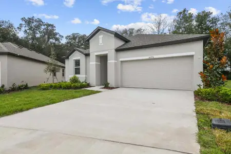 Lanier Acres by William Ryan Homes in Zephyrhills - photo 2 2