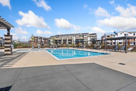 Northfield at Old Town by Landmark Homes in Fort Collins - image 16